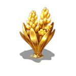第5阶段