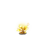 第2阶段