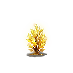 第3阶段