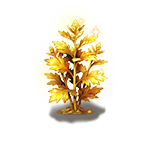 第5阶段