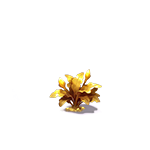 第3阶段