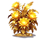 昙花