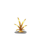 第2阶段