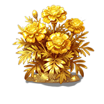 黄金·孔雀草