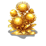 黄金·针垫花